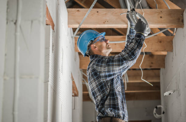 Best Electrical System Inspection  in Oldsmar, FL