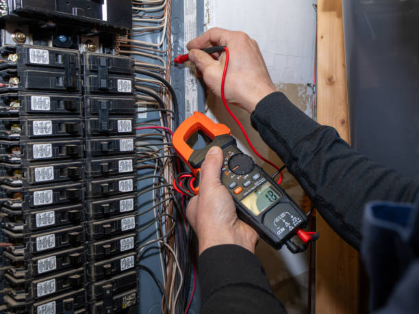 Best Affordable Electrician  in Oldsmar, FL